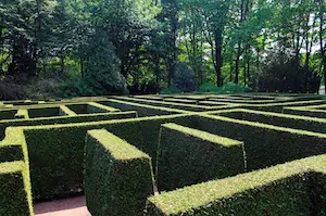 View of the William Meany Hedge Maze in Toronto Island, Ontario, Canada.