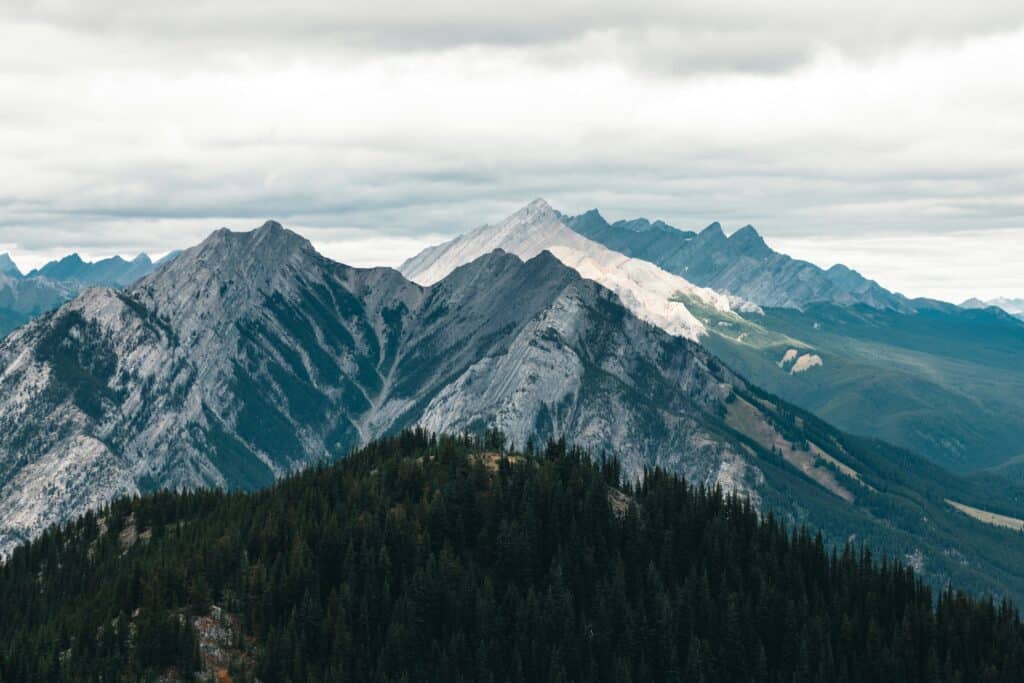 Your Guide To Alberta PNP: Pathways To Success