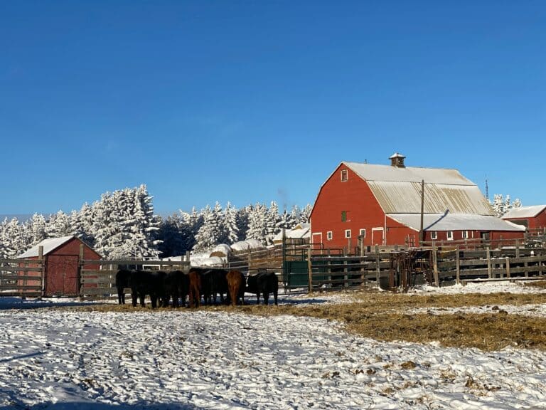 Alberta Farm