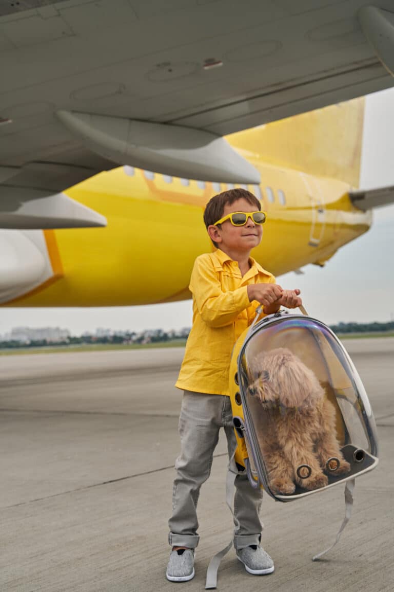 Bring Pet Dog Cat Canada Immigration,Canada Immigration Source,Canada Immigration Guides &Amp; Tools